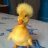 Donald